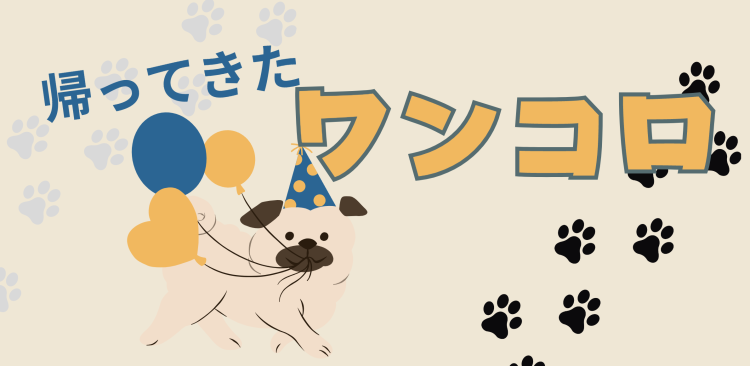 カワイイがいっぱい！ワンダーランド